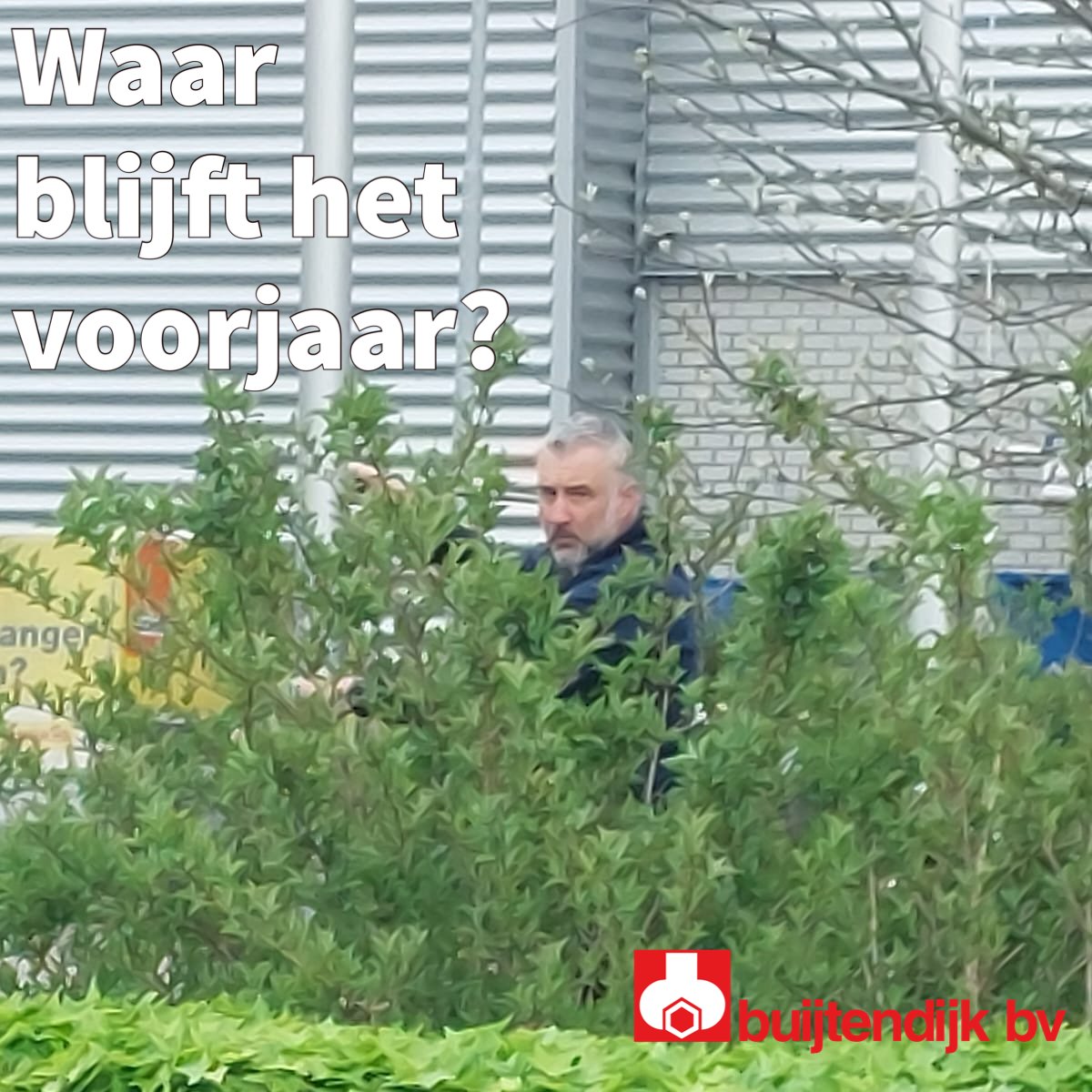 Buijtendijkbv's tweet photo. Zie je Dave #boos kijken vanuit de de bosje? #CodeOranje Is niet wat Dave wil, En wij trouwens ook niet! Maar de vlaggen zijn weer uit de masten en wij zijn er klaar voor. #Waai jij vanmiddag even aan? dan kunnen we het naast onze goeie adviezen ook over het slechte weer hebben. https://t.co/RFHa3fJGtZ