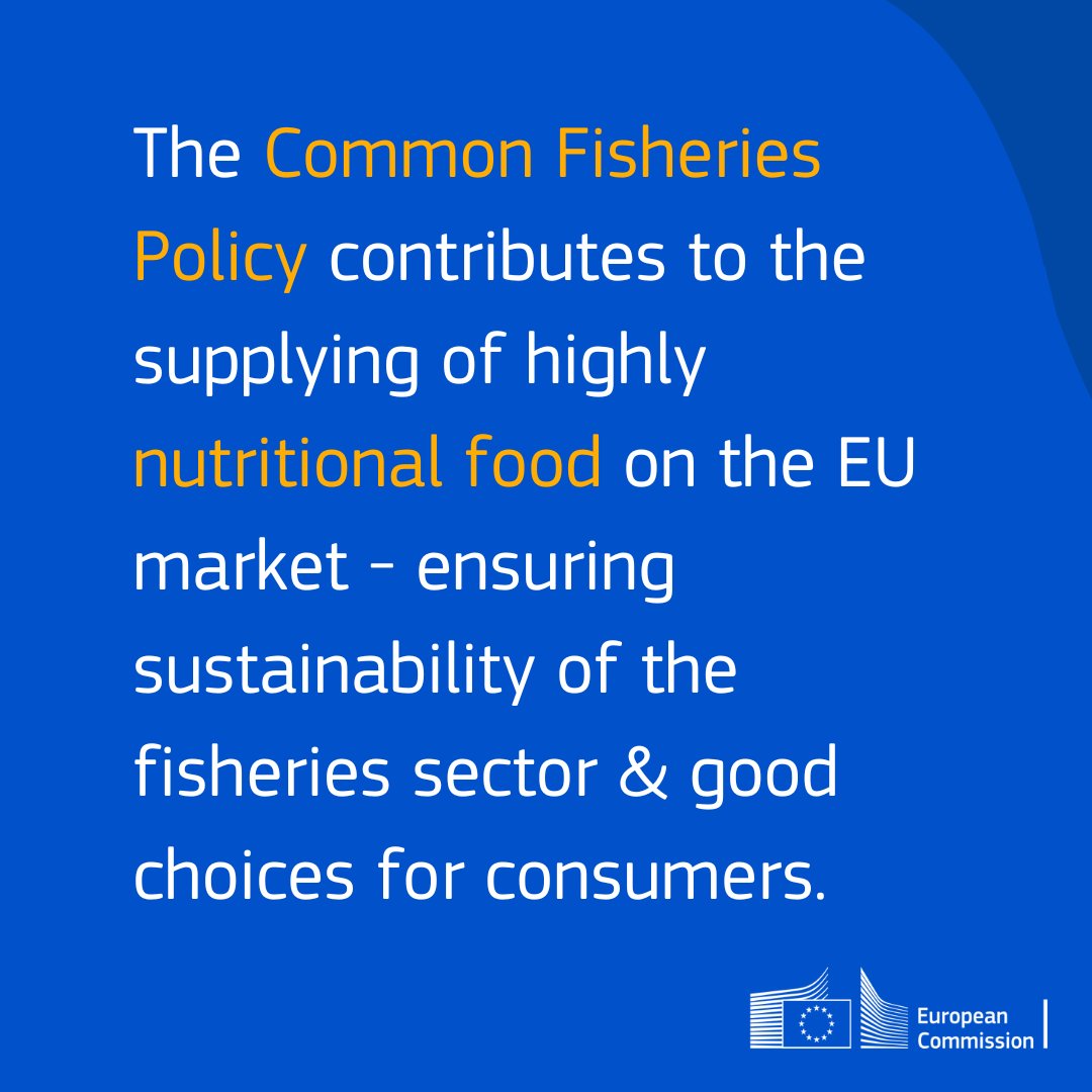 EU_MARE's tweet photo. Part of the #FarmToFork Strategy, the #fisheries & #aquaculture sectors have been key to ensuring #foodsecurity.
Indeed, fish, algae or crustaceans can be great low-carbon food sources, and the EU has worked hard to support their #sustainable production.
#KeepingOurPromises https://t.co/iHtJndgluq
