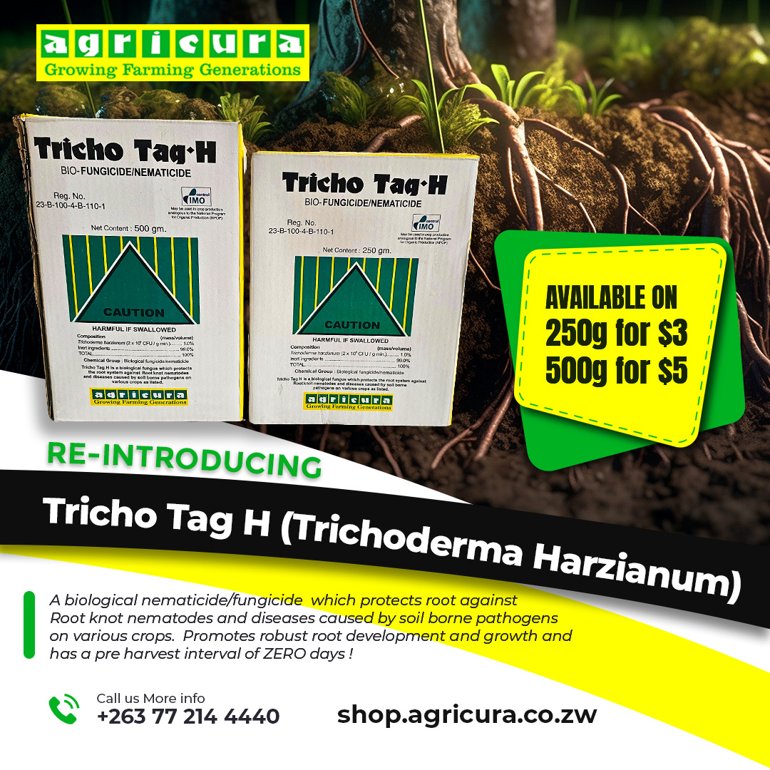 Happy New Week Farmers!!
Introducing Tricho Tag H (Trichoderma Harzianum).
A biological nematici that protects roots against Root-knot nematodes and diseases caused by soil-borne pathogens on various crops. It promotes robust root development and growth.