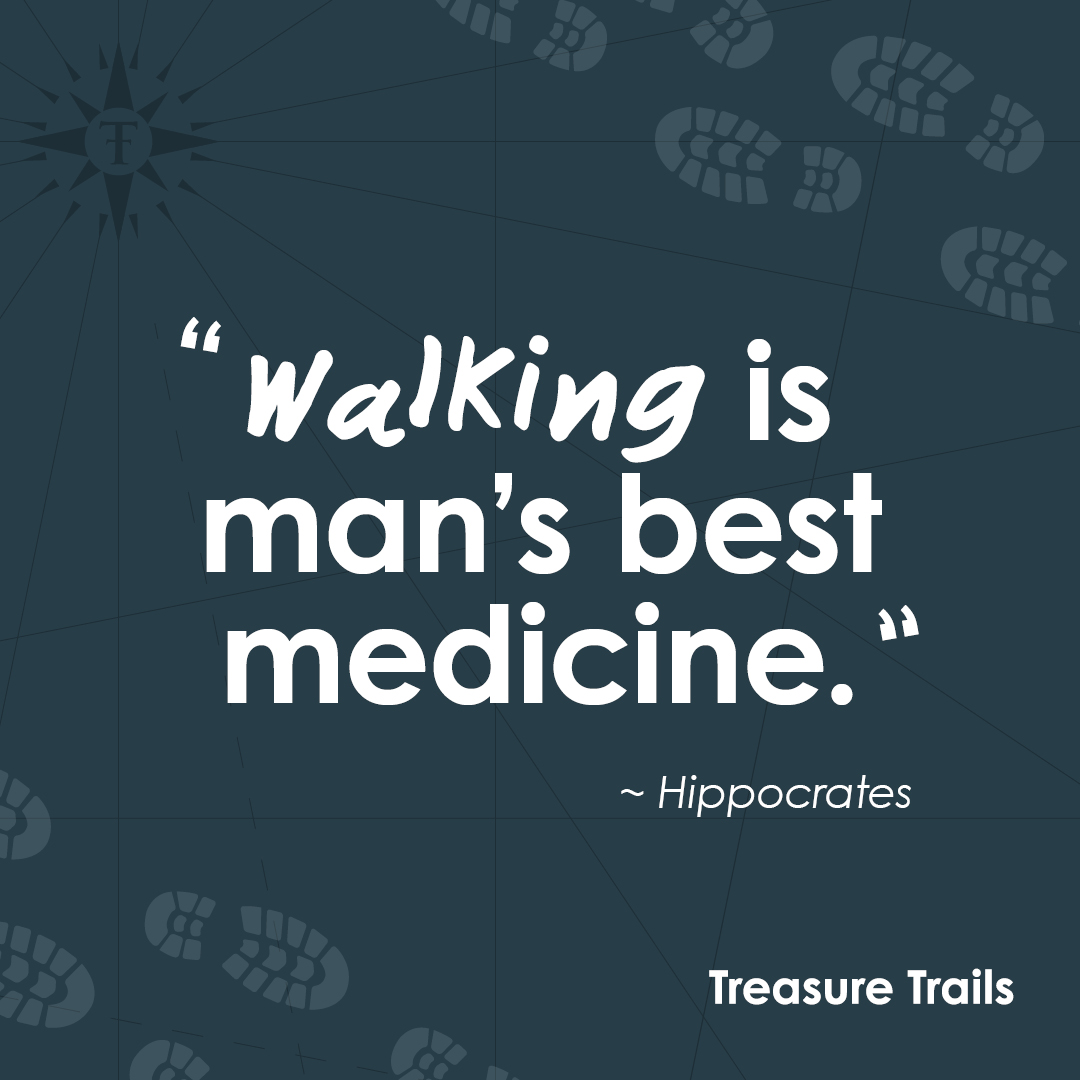 #MondayMotivation Give yourselves a boost with a walking adventure and exercise the braincells at each clue and the body in between each clue stop! 🥾🧠 👉treasuretrails.co.uk