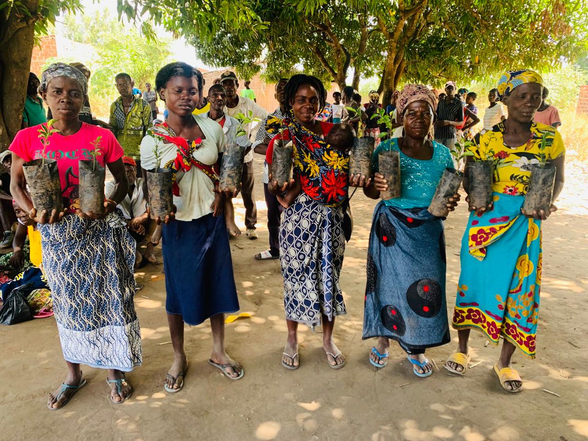 FAOMozambique's tweet image. Fruit tree #seedling 🌱🌱🌱distribution to resettled and hosting communities for household’s plantation in their backyards in districts affected by the #Cycloneidai. @FAO promoting critical ventures and strategies with communities attaining climate resilience.🤝