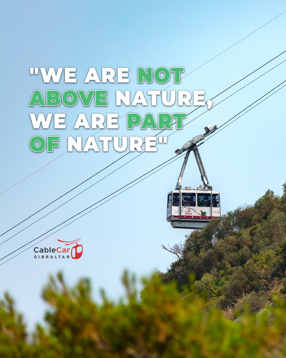 Explore Gibraltar responsibly and enter it’s nature reserve via Cable Car; a sustainable mode of transport, which preserves the natural environment it surrounds. 🚠 🎟️Pre-purchase your tickets on our website today gibraltarinfo.gi #Gibraltar #SustainableTourism