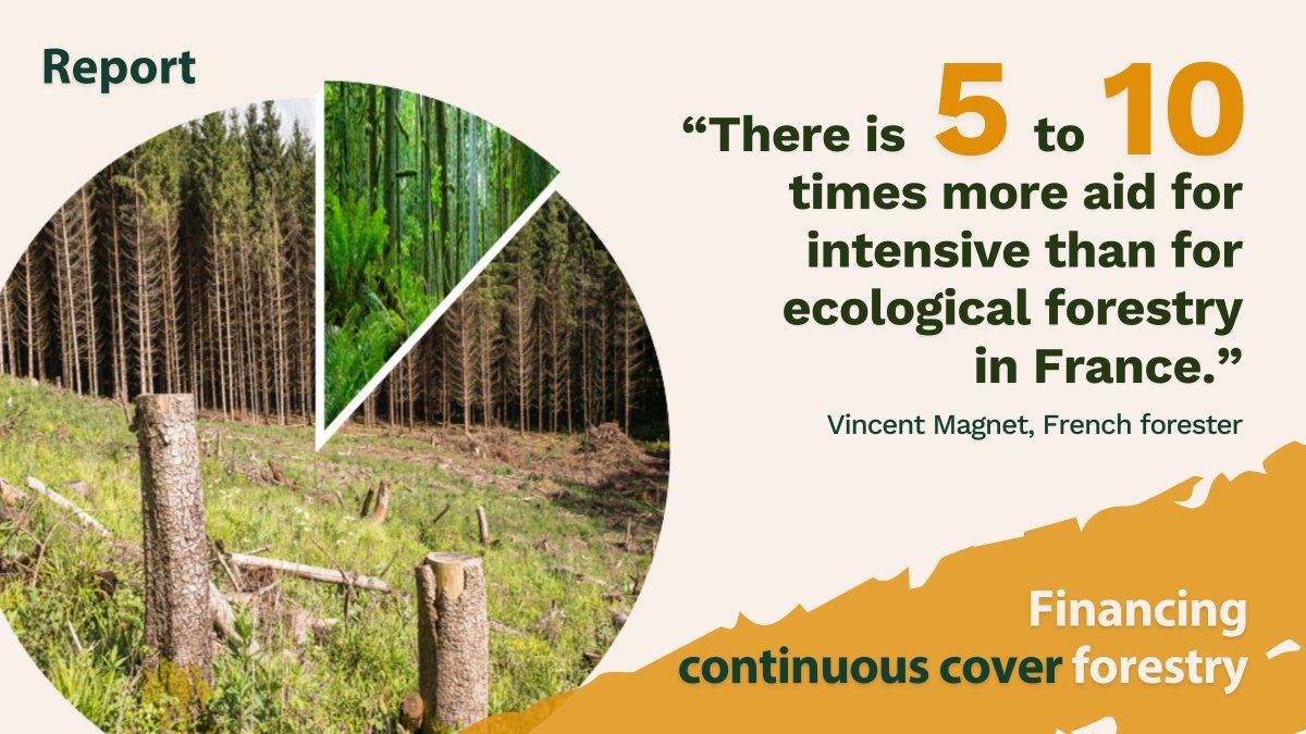 All over Europe, foresters are working on alternatives to the clearcutting model. But their efforts to achieve resilient, climate-friendly #forests are not rewarded by subsidies, which mostly go to industrial plantations. Find out more in our report👇 fern.org/publications-i…