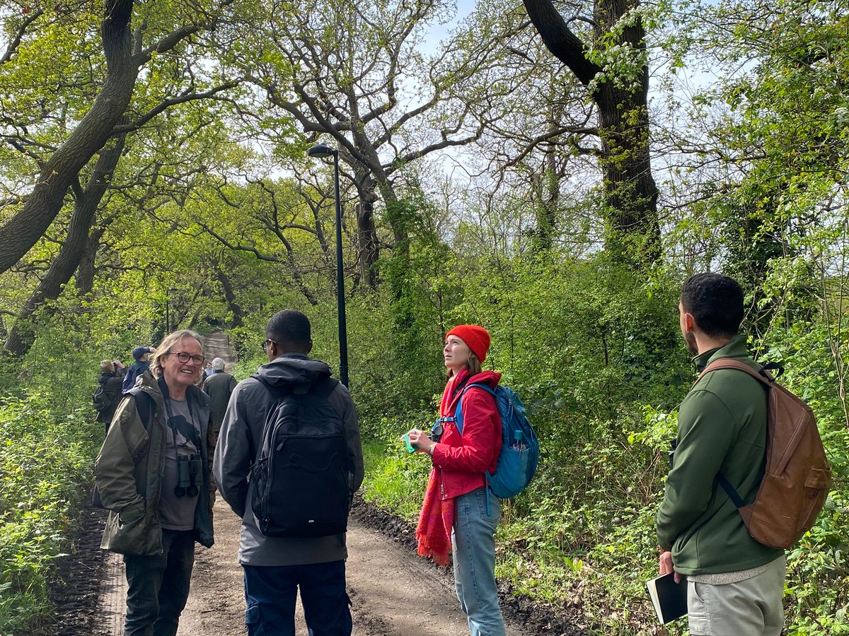 Great to be able to lead some young birders at Sydenham Hill Wood ⁦@WildLondon⁩ for ⁦@LNHSoc⁩ #birding #birds ⁦@LondonNPC⁩ #Londonwalks