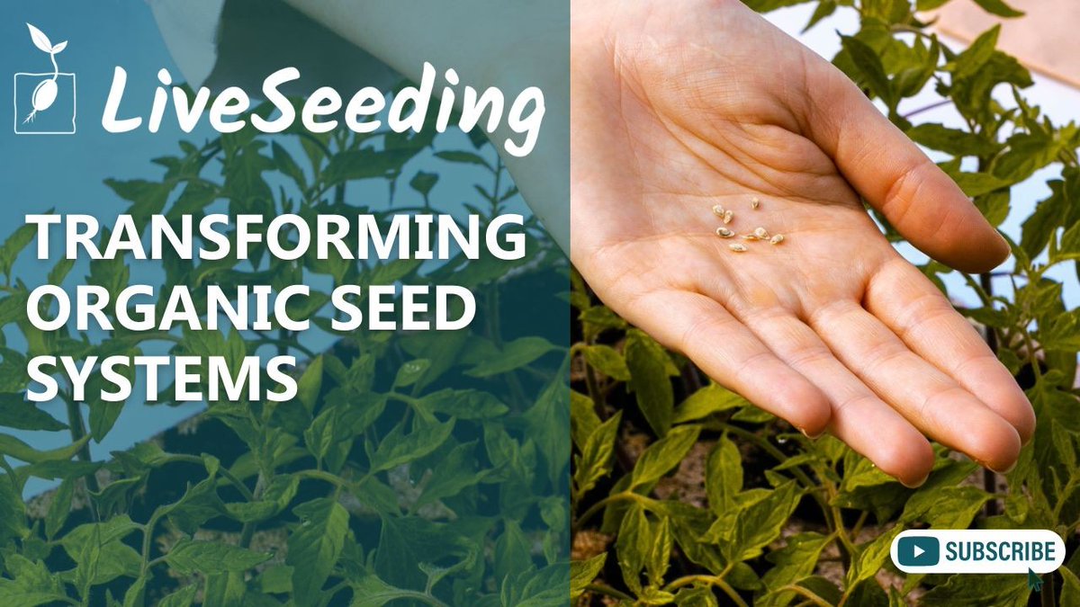 LiveSeeding tweet media