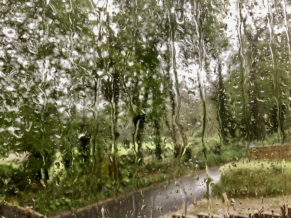 skylark22BHC1's tweet photo. A wet Monday morning in Keston. 💦☔️🌧️ #theviewfrommywindow #keston #bromley #kent #monday #loveukweather @metoffice @bbcweather @itvweather @SallyWeather @ChrisPage90 https://t.co/9b5Z2oeLnt