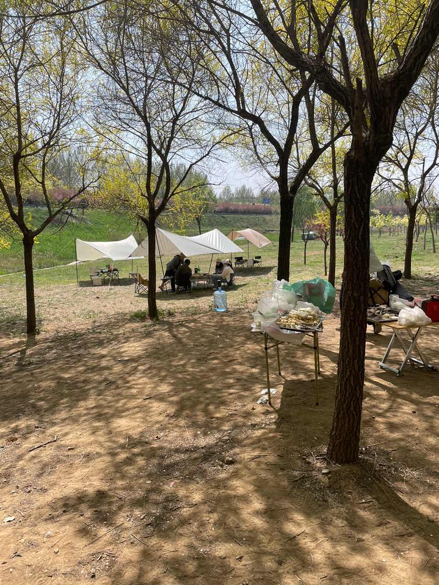 Victori40419232's tweet photo. Go camping! https://t.co/YkxQDtRpeL
