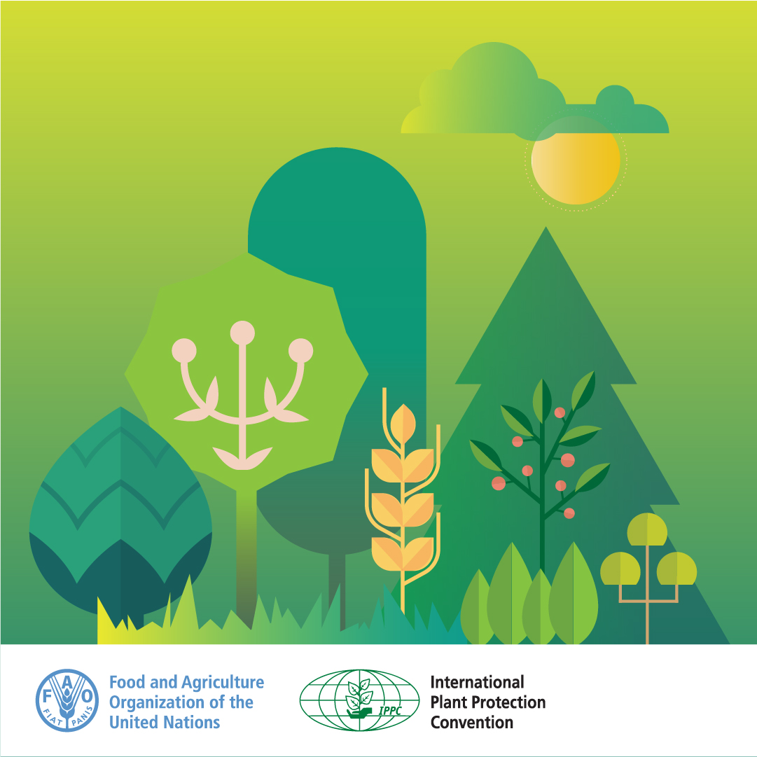 Protecting biodiversity defends our planet's ecological balance. 🌎 At CPM-18, we're addressing how invasive pests threaten biodiversity with IPPC data showing they contribute to +$70 billion in annual crop losses🐛Join the discussion live👉bit.ly/3xIb2TZ #PlantHealth🌱