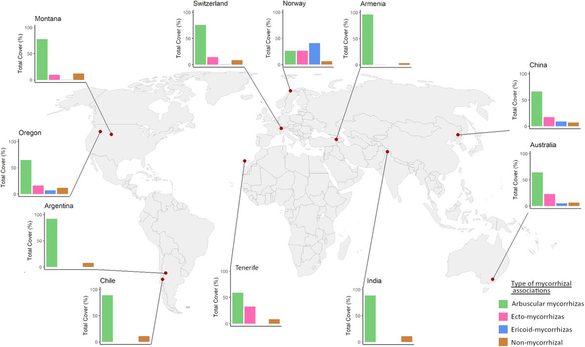 Roadside disturbance promotes plant communities with arbuscular mycorrhizal associations in mountain regions worldwide nsojournals.onlinelibrary.wiley.com/doi/full/10.11… #plants #mountain_ecology #fungi @NordicOikos @WileyEcolEvol