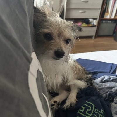 mljwilliams's tweet photo. #NewProfilePic https://t.co/DQmJ5kMpnD