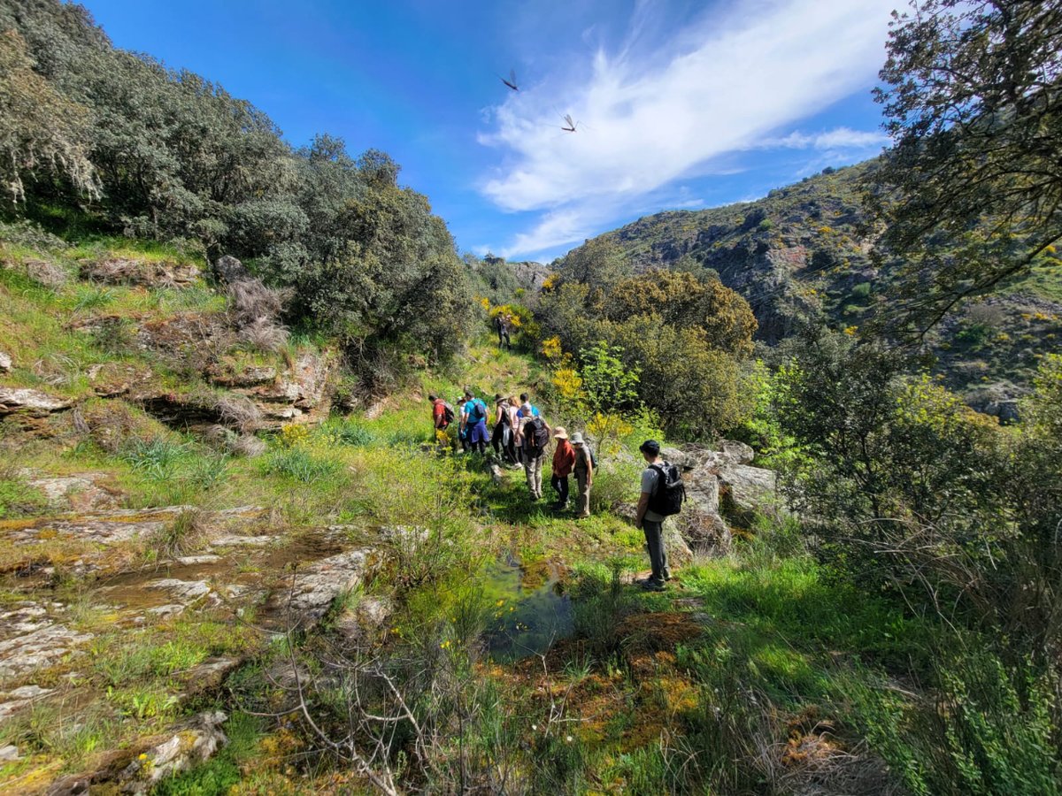 Veolia_Castilla's tweet photo. Nuestros compañeros de #Zamora han aprovechado este fin de semana para hacer una ruta por Villadepera 🚶‍♀️🚶

Sin duda, se trata de la mejor forma para coger fuerzas y encarar una nueva semana, dejando además patente la apuesta de @InfoAquona por una vida y hábitos saludables 💚 https://t.co/cTbDrVblGj