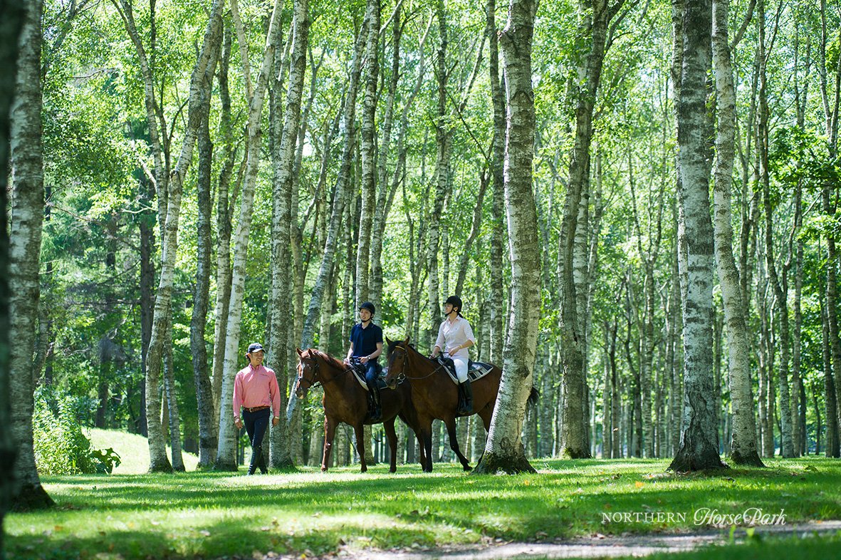 northern_horse's tweet photo. パークは本日4/15（月）から夏期運営がスタート！馬とのふれあいや大自然を活かしたアウトドアアクティビティが楽しめるほか、ドッグランもオープン。展望台「馬見の丘」からはかわいい仔馬の姿もご覧いただけます。サマーシーズンもパークで輝くひとときをお過ごしくださいね！ https://t.co/6fWt8VnjEd