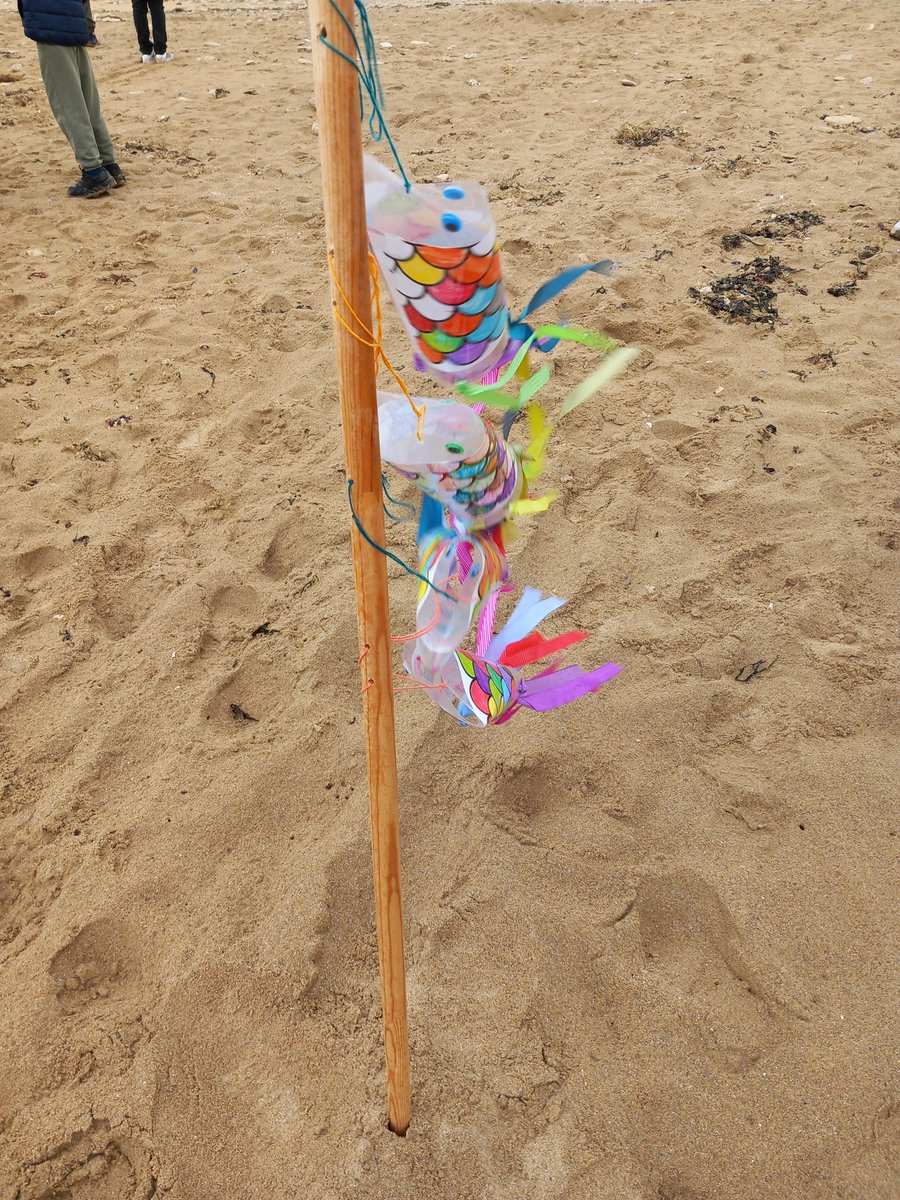 Ecolemoliere61's tweet photo. Les CP CE1 sont bien arrivés à Lion sur Mer et profitent déjà de la plage ! C'est parti pour deux jours de #classedemer https://t.co/KLLJdwvikK