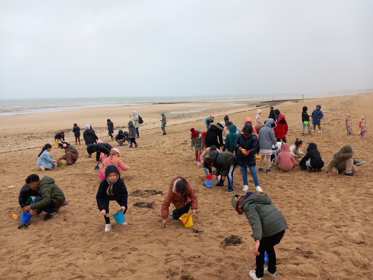 Ecolemoliere61's tweet photo. Les CP CE1 sont bien arrivés à Lion sur Mer et profitent déjà de la plage ! C'est parti pour deux jours de #classedemer https://t.co/KLLJdwvikK