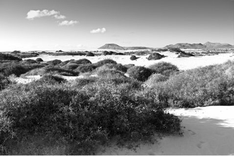 Dunes #Fuerteventura #nikonphotography
#blackandwhitephotography
#photography
#findyourepic
#Welshphotography

Visit delweddauimages.co.uk