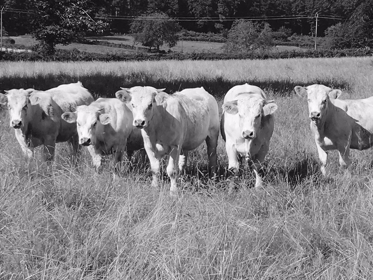 Paul Hackett tweet media