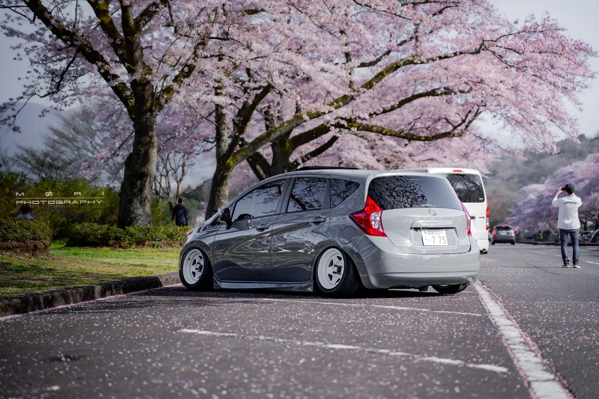 〜Cherry Blossoms × NISSAN Note〜