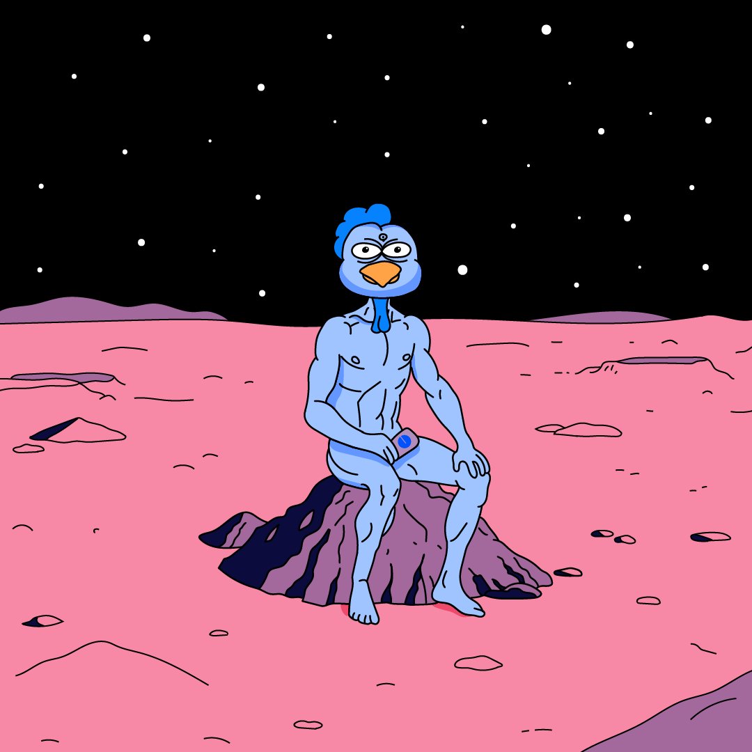 RoostCoin's tweet photo. $ROOST gone to watch the stars https://t.co/ZemY8NMzQU