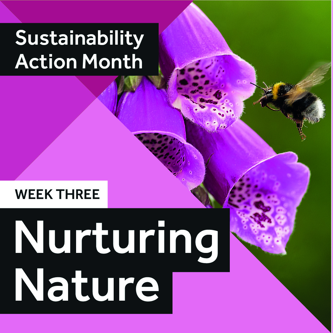 🌍🌿 Dive into sustainability this #WorldEarthDay Day at @OfficialUoM! Join us for our Sustainability Stall 🌱 Meet our ES team, explore campus sustainability strategies and ongoing initiatives, and grab some free plants! #SustainabilityMonth 🗓️ 22/04, 10- 14:00 📍 SU