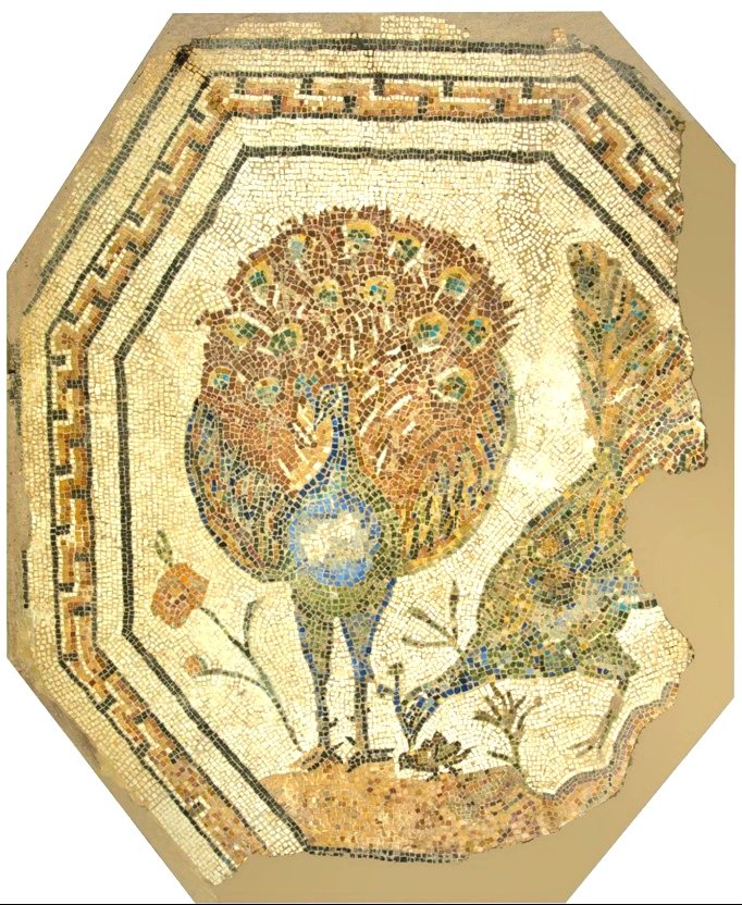 #MosaicMonday

Polychrome octagonal mosaic with peacocks, found in a tomb along the Appian Way. 2nd century CE: Rome, Musei Capitolini, Antiquarium.