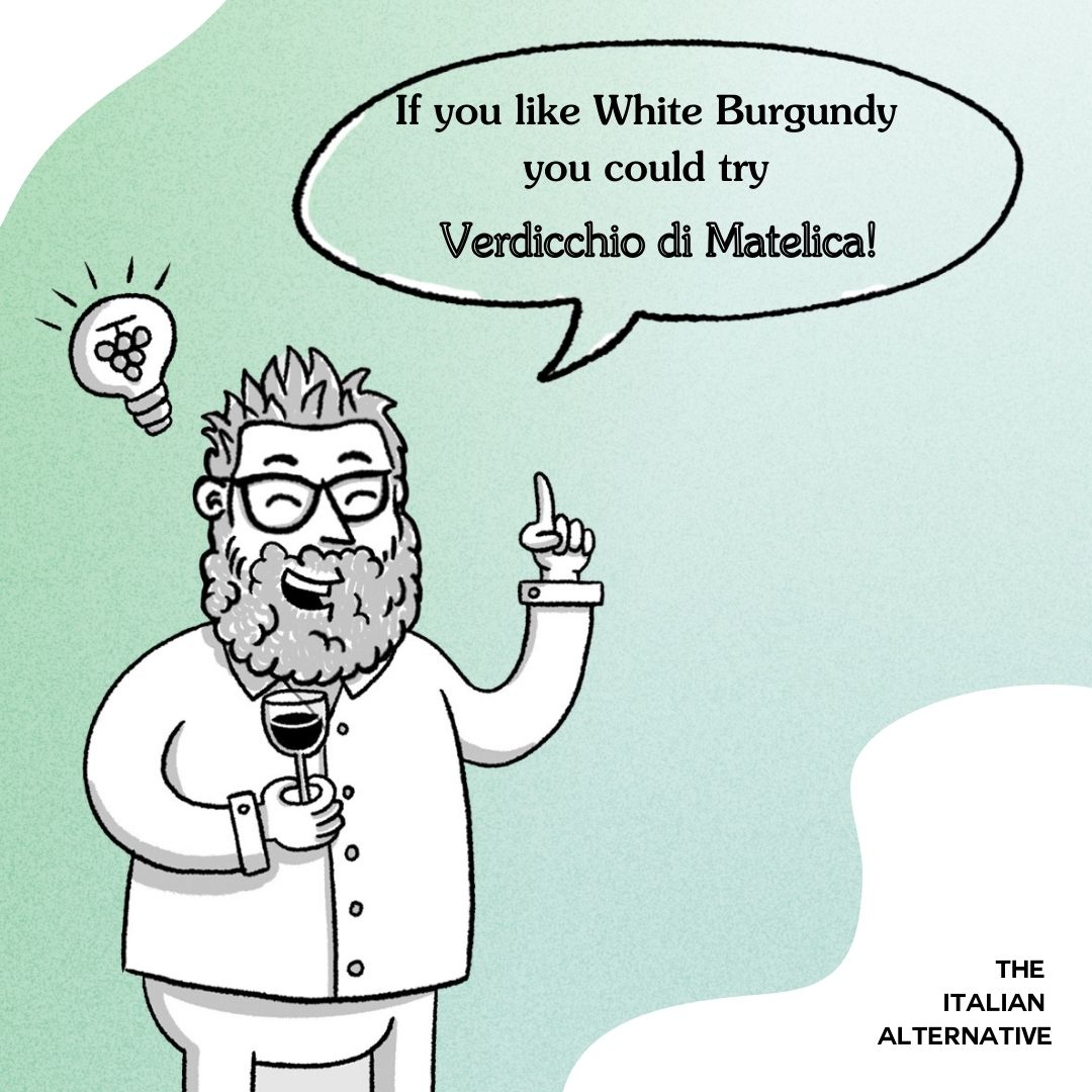 ⁉️ Looking for an Italian alternative to White Burgundy? 🇮🇹 Try #Verdicchio di Matelica! With its crisp acidity, delicate fruit flavors, and mineral notes, it’s a perfect choice for fans of #WhiteBurgundy seeking something new! Have a 👀 on our website for our Italian #winebooks!