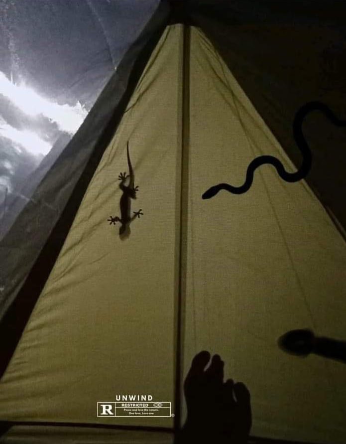 Itsdamnwaylon's tweet photo. Sbb ni la aku tak suka camping. Mcm2 binatang ada. https://t.co/oez868w8MQ