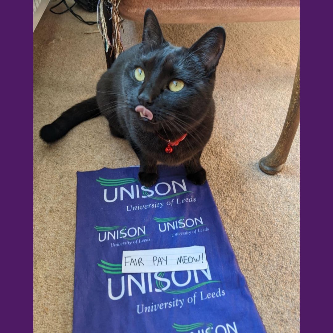 Happy Monday, members! Kicking off this week’s branch intro, let us introduce our LGBT+ officer Ellis (and their cat Penelope Squeaky Pudding 😻) #FairPayMeow
