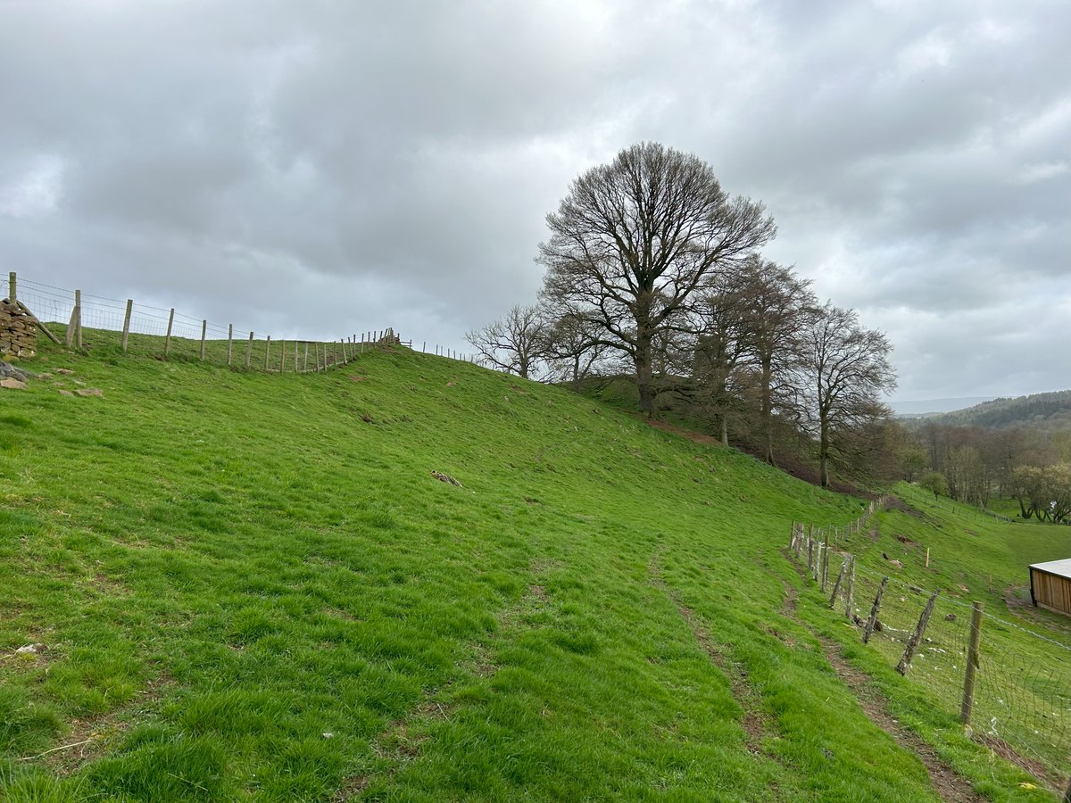 pfkrural's tweet photo. FOR SALE
LAND AT GREAT SALKELD

👉3.23 Acres (1.32 Hectares) or thereabouts.
👉Guide Price: £25,000

https://t.co/hSzEeGoFyp https://t.co/TwJ4qAA8q2
