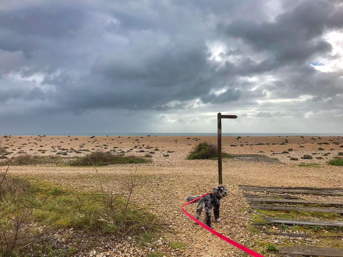 A very windy and overcast Church Norton this morning. @BBCSouthWeather @itvmeridian @BBCSussex @AlexisGreenTV @HollyJGreen @PhilippaDrewITV @ExpWestSussex @VisitSEEngland @greatsussexway @RSPBPagham