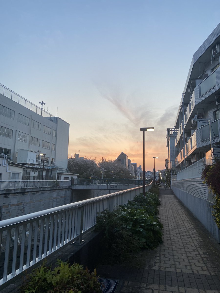 idohappy's tweet photo. 好きな自分になるために。
今日→明日への期待。

毎日繰り返しの日々。

明日は少しだけ違った自分でいたい。
そのために自分にできること。

今日も1ミリでもキレイになれた。

変わっているわくわく感。
明日への期待感。

自分を好きになる方法。

ヨガの帰り道。
#好きな自分でいる https://t.co/p6Qq6LoATh