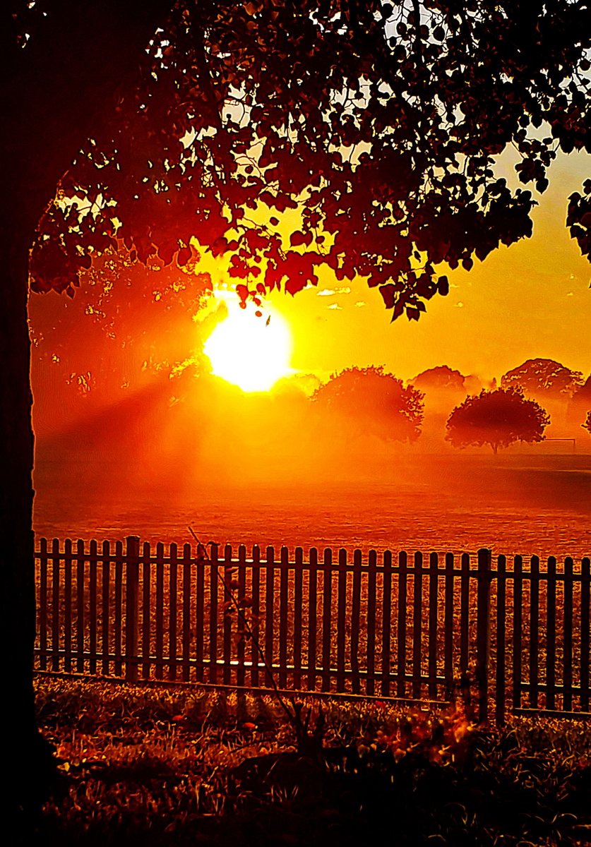 The_JD_Life's tweet photo. I only ever see a sunrise when I'm home late after night shift, but sometimes they are worth stopping and taking in for a few minutes. The cold air and light fog added an extra feeling of calm to this one.... #sunrise #sunrisecolours https://t.co/duE1LO0kPL