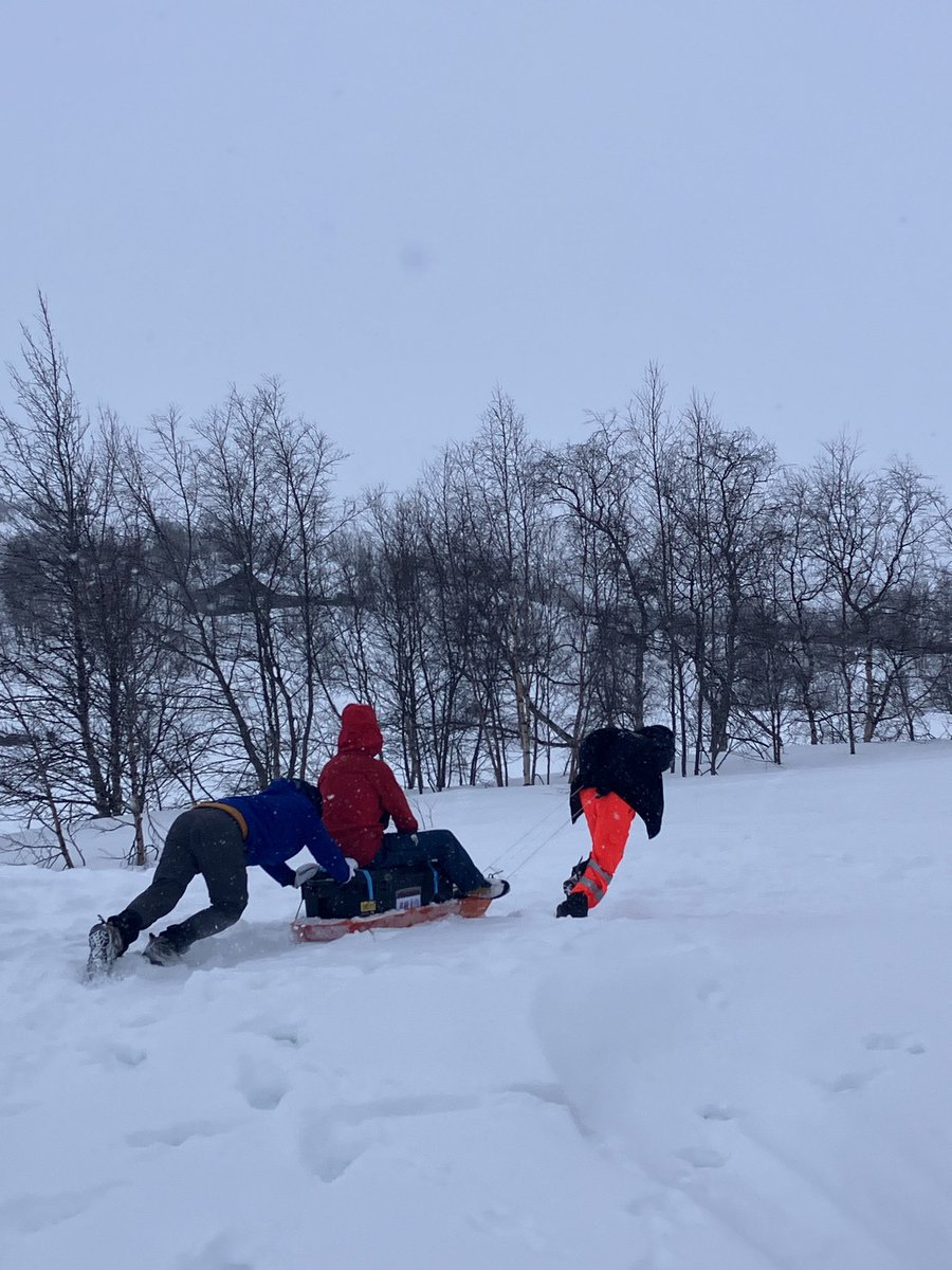 Harley R. McCourt (he/him) 🏔 tweet media