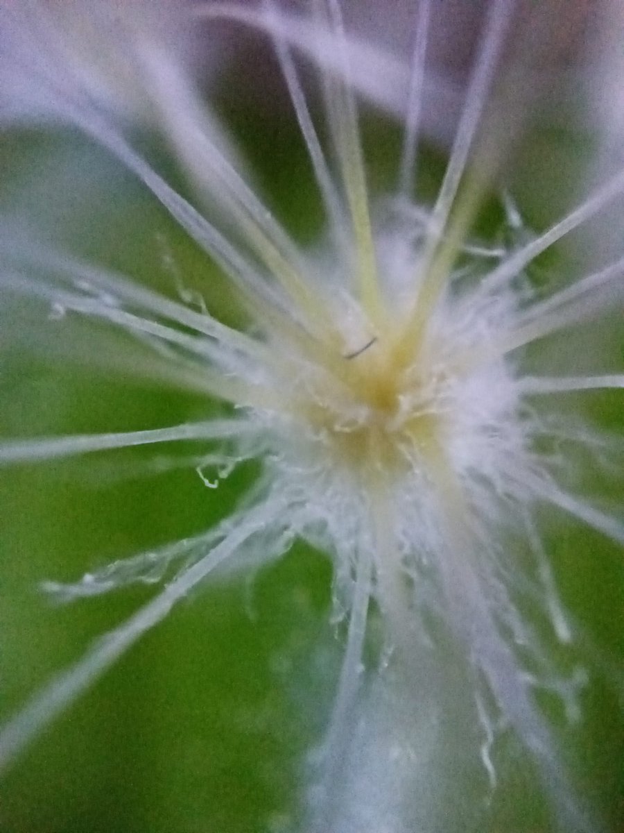 microtwins (@microtwinsnft) on Twitter photo Good morning friends, we hope you had a great weekend and are ready for this week's macro.
All participants have fun guessing and everyone who isn't there yet is welcome.
๐๐๐๐๐๐๐๐๐๐๐๐๐๐๐
Guten Morgen Freunde, wir hoffen, dass ihr ein schรถnes Wochenende hattet und Good morning friends, we hope you had a great weekend and are ready for this week's macro.
All participants have fun guessing and everyone who isn't there yet is welcome.
๐๐๐๐๐๐๐๐๐๐๐๐๐๐๐
Guten Morgen Freunde, wir hoffen, dass ihr ein schรถnes Wochenende hattet und