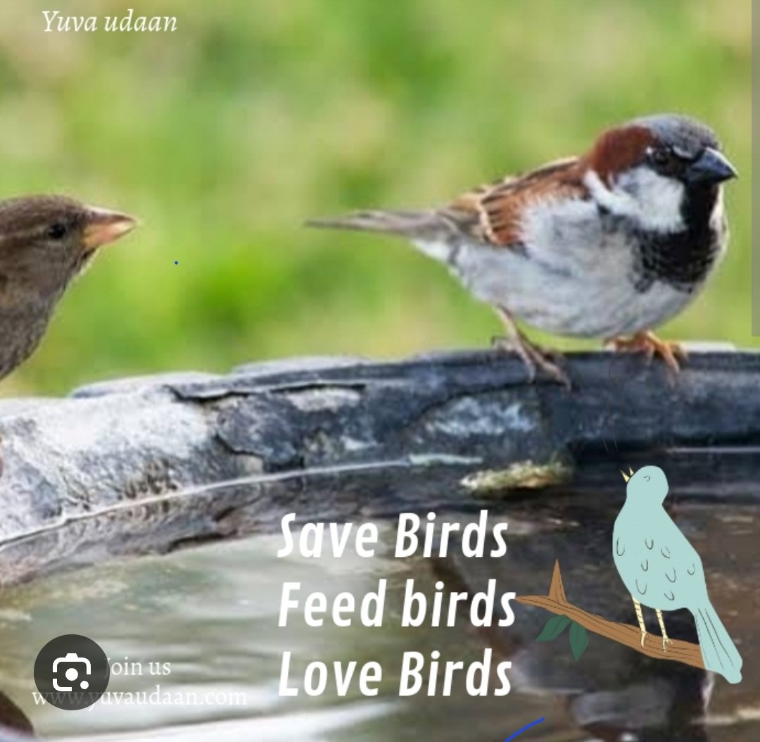 पक्षी सबसे अधिक पीड़ित जीवित प्राणी है, यदि शहरों में खंभों, पार्कों और छतों पर पानी से भरे सकोरे और दाना रखा जाए, तो हम उन्हें इस पीड़ा से बचा सकते हैं। Saint Dr MSG Insan के मार्गदर्शन में Birds Nurturing अभियान के तहत लाखों लोग ऐसा कर रहे हैं।
#FeedFeatheredFriends
#SaveBirds