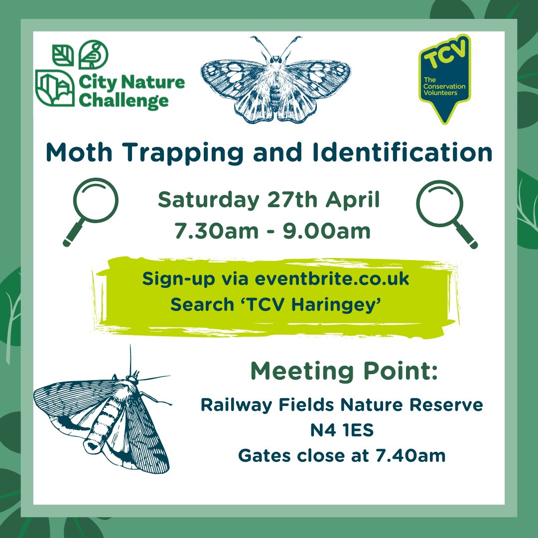 Moths often go unnoticed within nature but these flying insects are fascinating! 🔍🌿Join us on 27th of April to identify these beautiful creatures as part of the City Nature Challenge! 🌎🌃 #outdoors #citynaturechallenge #moth #citizenscience #tcv #Haringey