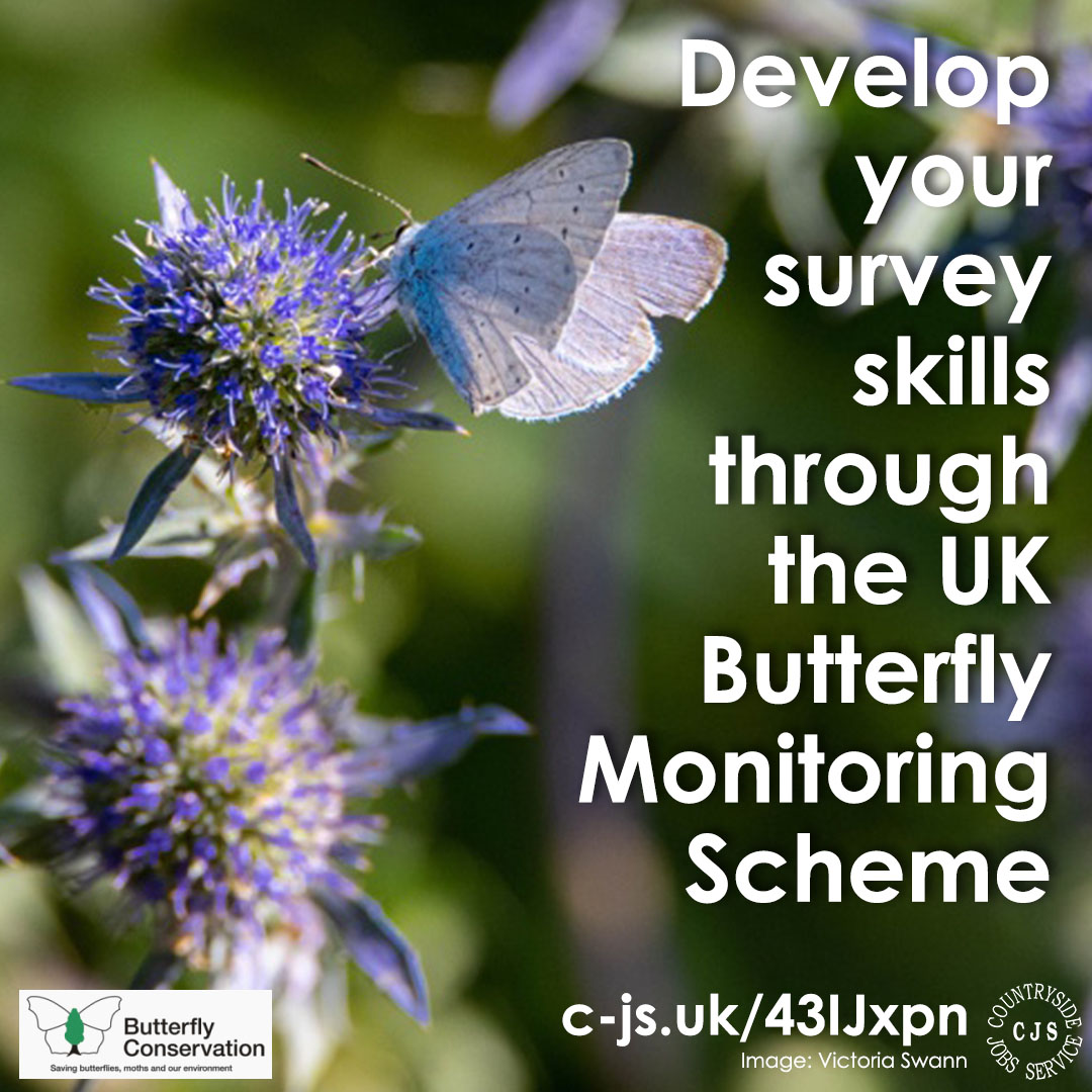 Data is the foundation of conservation. Having skills & experience in data collation are a great asset when applying for jobs in conservation & undertaking a citizen science survey with @savebutterflies this #MicroVolunteeringDay is a great place to start! c-js.uk/43IJxpn