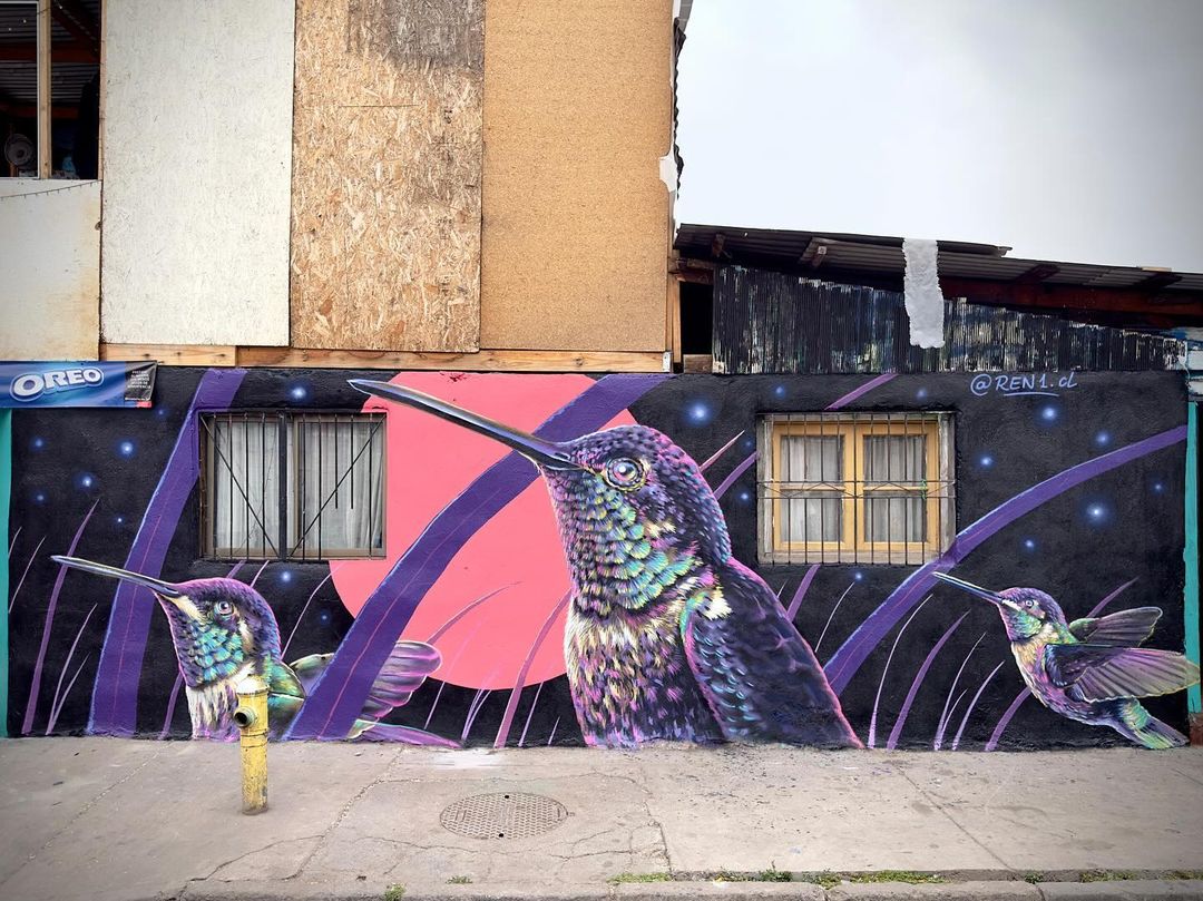 #Streetart by #Ren1 @ #Santiago, Chile, for #MarPintor
More pics at: barbarapicci.com/2024/04/14/str…
#streetartSantiago #streetartChile #Chilestreetart #arteurbana #urbanart #murals #muralism #contemporaryart #artecontemporanea