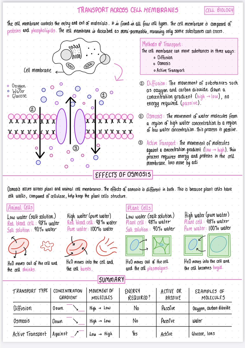 🌿National 5 Biology🌿 1.2 Transport Across Cell Membranes One page summary now available on my Google drive