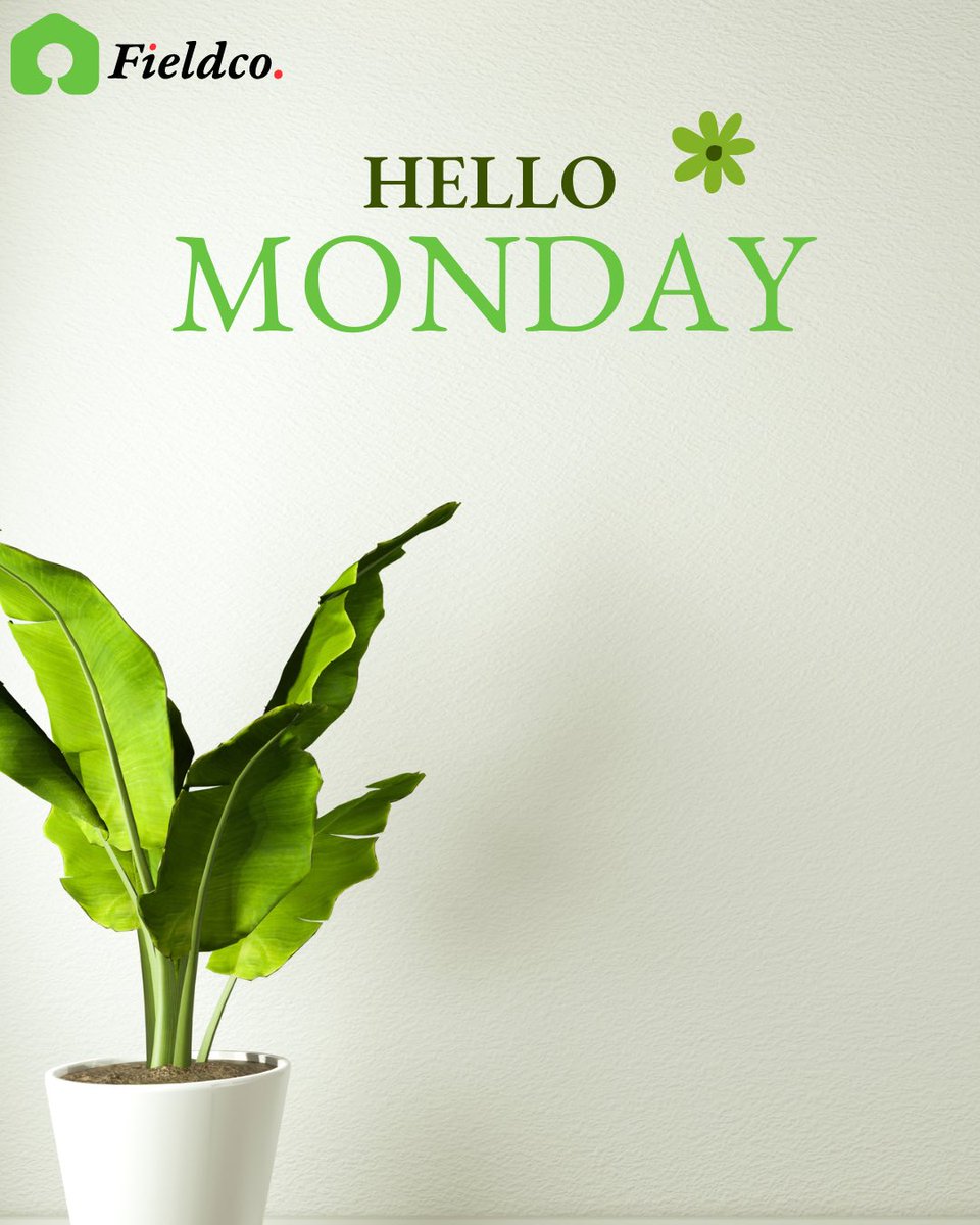 FieldcoLimited's tweet photo. It’s a brand new week filled with endless possibilities💃!
Let go of any worries from the past, embrace the present moment and step into the future with confidence. Remember, each Monday is a fresh start, a chance to set new goals and make progress towards your dreams.
#fieldco https://t.co/uwN38uZFSB