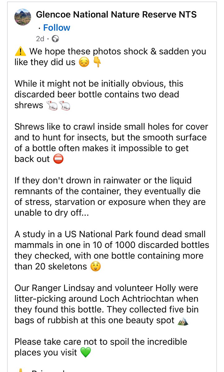 LeilaniDowding's tweet photo. FFS.  Why is it so hard for people to pick up their litter….   From Glencoe Nature Reserve FB 😩😩 

While it might not be initially obvious, this discarded beer bottle contains two dead shrews 🐁🐁

Shrews like to crawl inside small holes for cover and to hunt for insects, but the smooth surface of a bottle often makes it impossible to get back out ⛔

If they don't drown in rainwater or the liquid remnants of the container, they eventually die of stress, starvation or exposure when they are unable to dry off...

A study in a US National Park found dead small mammals in one in 10 of 1000 discarded bottles they checked, with one bottle containing more than 20 skeletons 😲

Our Ranger Lindsay and volunteer Holly were litter-picking around Loch Achtriochtan when they found this bottle. They collected five bin bags of rubbish at this one beauty spot 🏔️

Please take care not to spoil the incredible places you visit 💚

🙏  Bring a bag
🙏  Collect up your waste
🙏  Dispose of it elsewhere

And help us get the word out...

📣 Discarded bottles KILL wildlife ☠️

#LoveGlencoe
#WaysToSpoilTheView
#RespectProtectEnjoy

National Trust for Scotland ~ NatureScot ~ Scotland's National Nature Reserves ~ The Outdoor Capital of the UK ~ Keep Scotland Beautiful