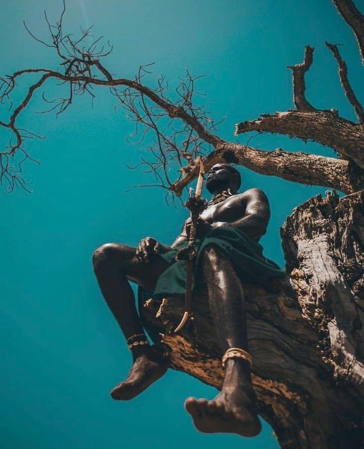 Typical African tweet media