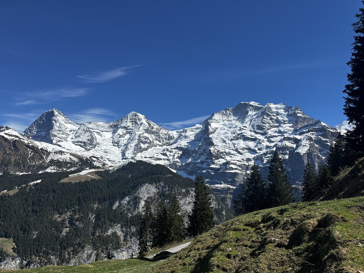 As I say in this article + my book, early modern people thought that the Swiss were particularly nostalgic because the mountains were too hard to leave (and that the air closer to sea level was noxious by comparison) 🇨🇭🏔️🇨🇭