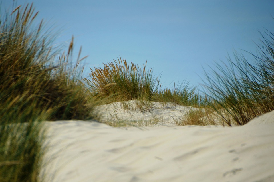 Alliance Française de Cork tweet media