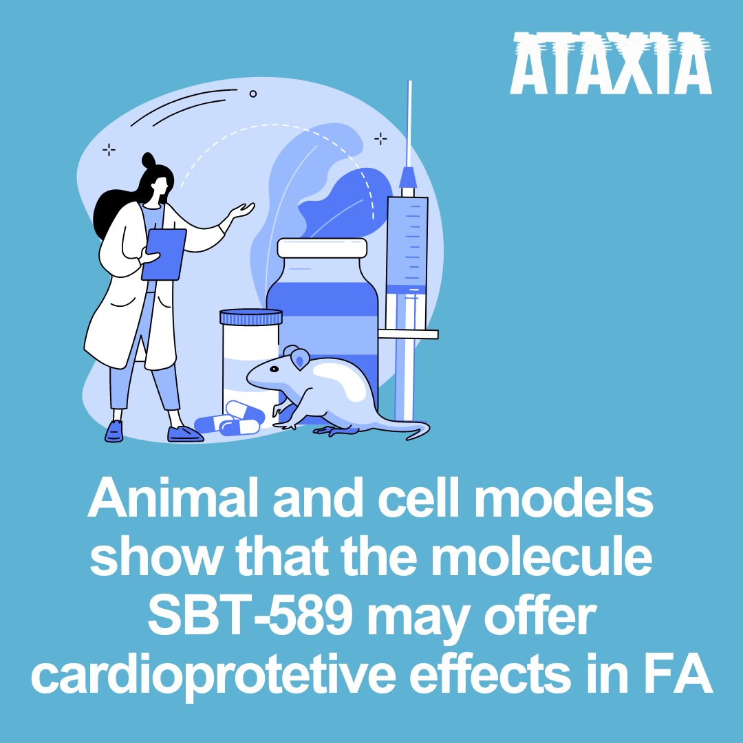 Mice treated once per day with SBT-589 showed significantly reduced thickening of the heart muscle (known as hypertrophy) and delayed mortality compared to mice not given SBT-589. Read more here: bit.ly/3W5PVoK #AtaxiaUK #Research #FA