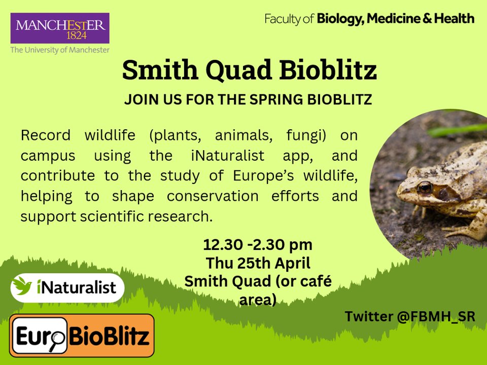 🌿 THIS THURSDAY dive into biodiversity with us at the Michael Smith Quad Bioblitz!🦋 Join us for an interactive session using the iNaturalist app and contribute to the City Nature Challenge 2024: Greater Manchester 📸🌳 #Bioblitz @FBMH_UoM ⏰ 12:30-14:30 📍 Michael Smith Quad