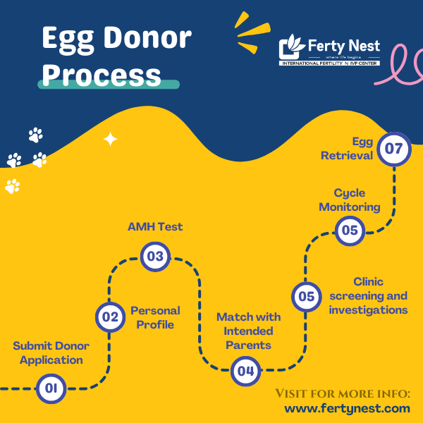 🥚 Considering egg donation? 🌟 Learn about the compassionate process at Ferty Nest! From donor screening to embryo transfer, we're here to guide you every step of the way. 💖 #EggDonation #FertilityJourney #ParenthoodDreams #FertyNest #IVFSupport #EmpoweredChoices 🌱