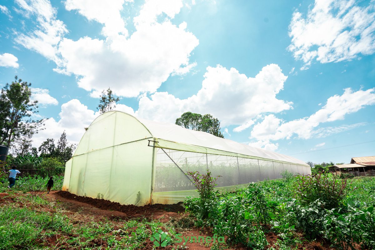 Most of our clients choose metallic greenhouses, and for good reason! Metallic greenhouses are structures with metal frames covered in a tough polythene material. These robust and effective greenhouse structures can withstand harsh environmental conditions. Here's why metal