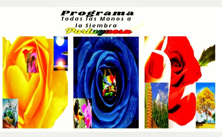 LeninGarcia (@lenjocastro) on Twitter photo 