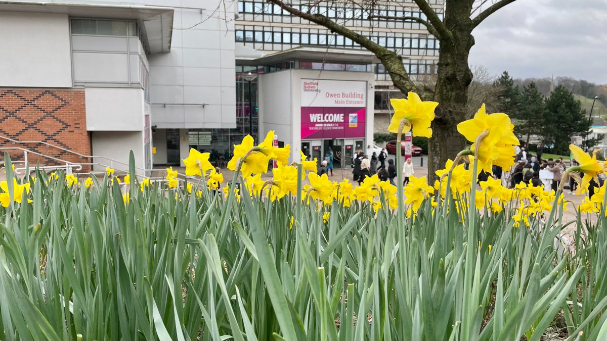 Sheffield Hallam University Multifaith Chaplaincy tweet media