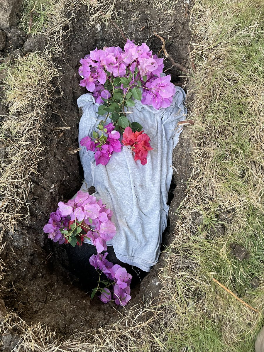 AngotLyster's tweet photo. RIP Chloe 
2009-2024 

Thank you for making us happy this past 15 years. May you rest in doggos paradise my best girl. https://t.co/vTPETIHfwk